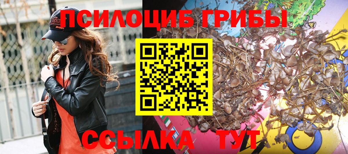Галлюциногенные грибы мухоморы Домодедово