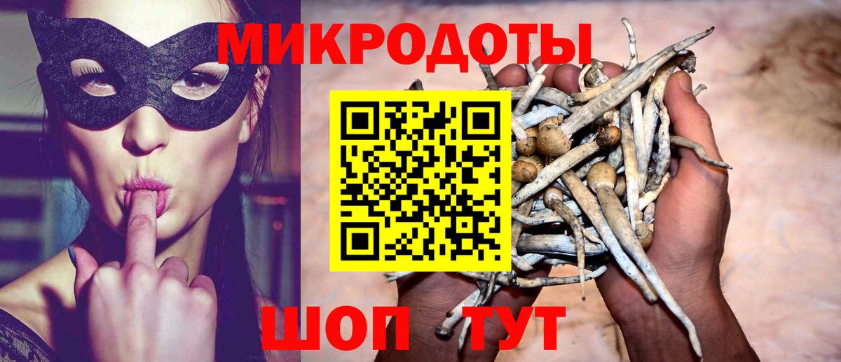 Домодедово  Псилоцибиновые грибы MAGIC MUSHROOMS  Вход с VPN 
